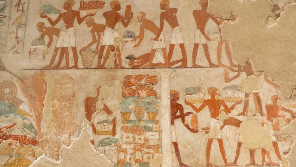 Egypt, Western Thebes, Tombs of Nobles – tomb of Rekhmire – Hieroglyphs High-Quality Images & Videos The MCA Collection