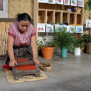Guatemala, Antigua Markets (Copy) High-Quality Images & Videos The MCA Collection