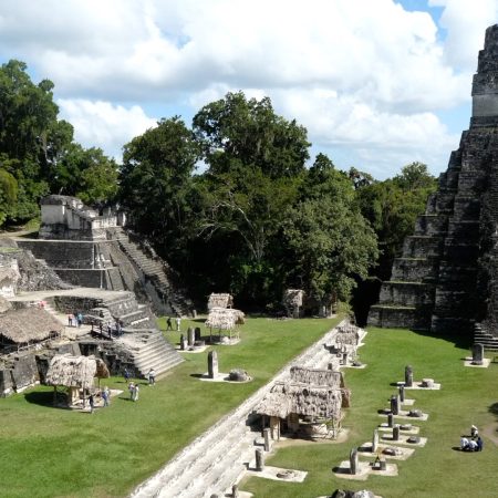 Guatemala, Peten Flores Tikal, Temple I Guatemala, Peten Flores Tikal, Temple I
