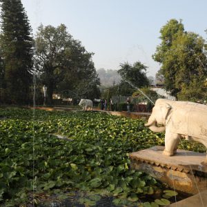 India, Rajasthan, Udaipur – Gardens of the Maidens (Saheliyon-ki-Bari) (00:01:09) High-Quality Images & Videos The MCA Collection