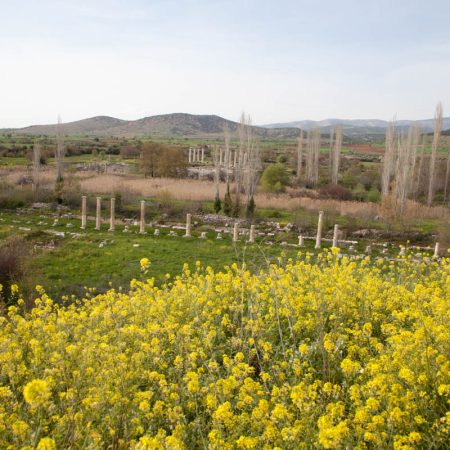 Turkey, Aydin, Aphrodisias - Agora (South)