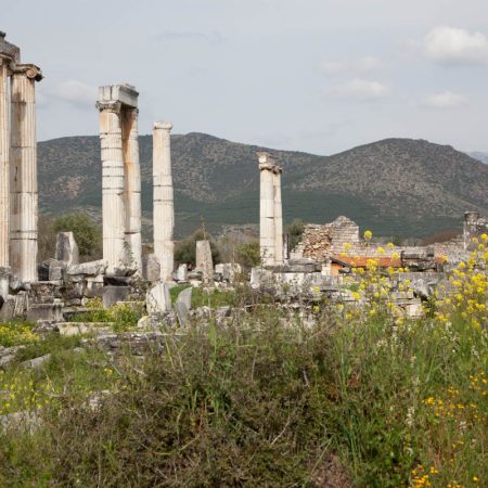 Turkey, Aydin, Aphrodisias - Temple of Aphrodite | Religions & Cultures Images & Videos | The MCA Collection