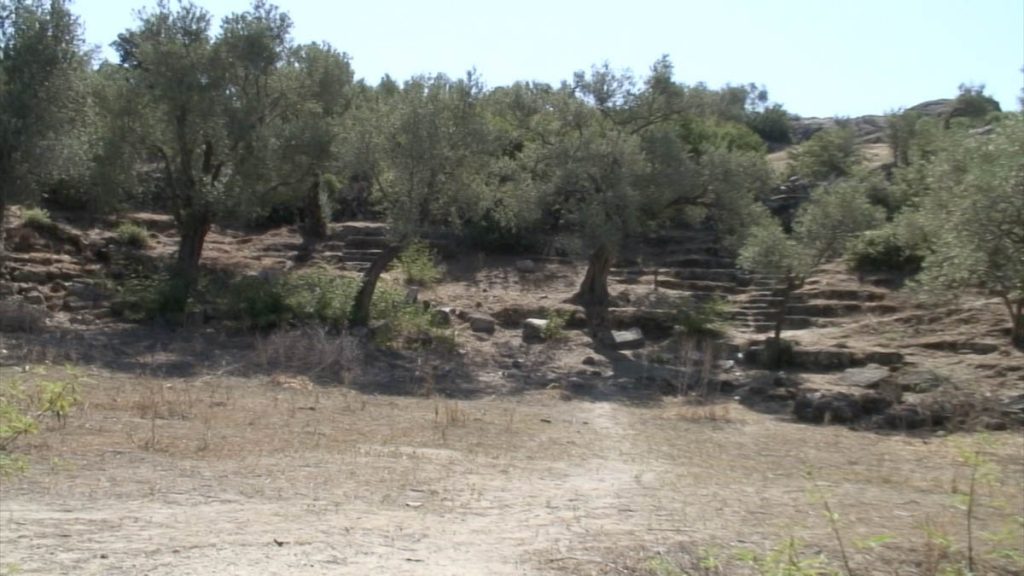 Turkey, Aydin, Bafa Lake, Heracleia under Latmos – Greek theatre High-Quality Images & Videos The MCA Collection