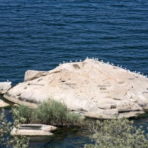 Turkey, Aydin, Bafa Lake, Heracleia under Latmos – Necropolis High-Quality Images & Videos The MCA Collection