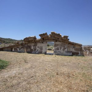 Turkey, Aydin, Magnesia on the Meander – Temple of Artemis Leukophryene High-Quality Images & Videos The MCA Collection