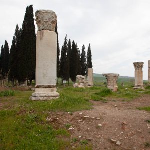 Turkey, Denizli, Pamukkale (Hierapolis) – Roman Agora High-Quality Images & Videos The MCA Collection