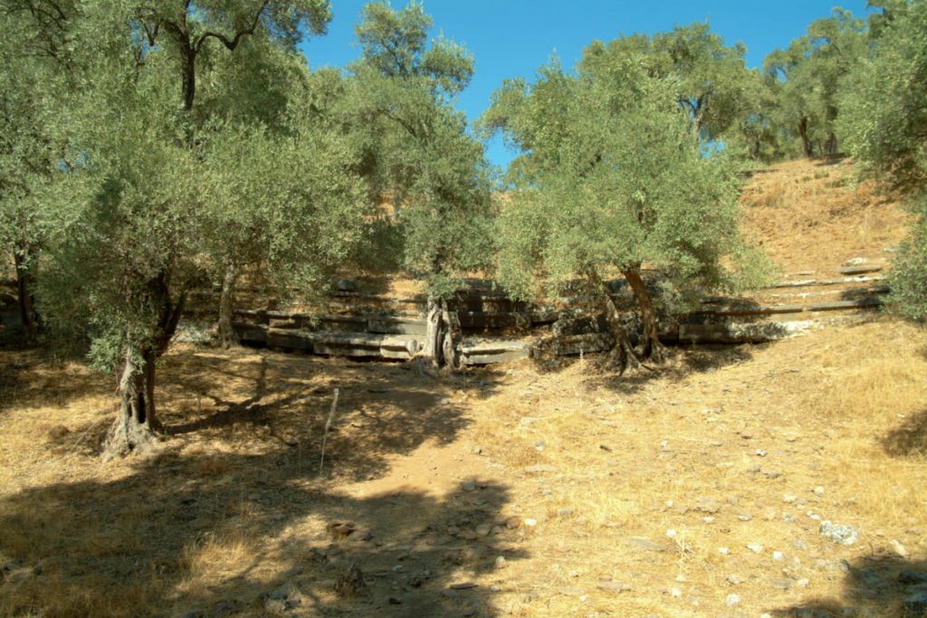 Turkey, Mugla, Euromos, Greek theatre High-Quality Images & Videos The MCA Collection