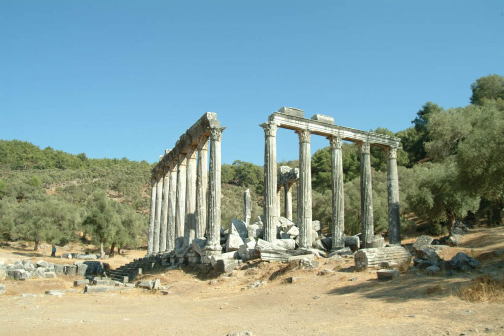 Turkey, Mugla, Euromos, Temple of Zeus Lepsinos (00:02:11) High-Quality Images & Videos The MCA Collection