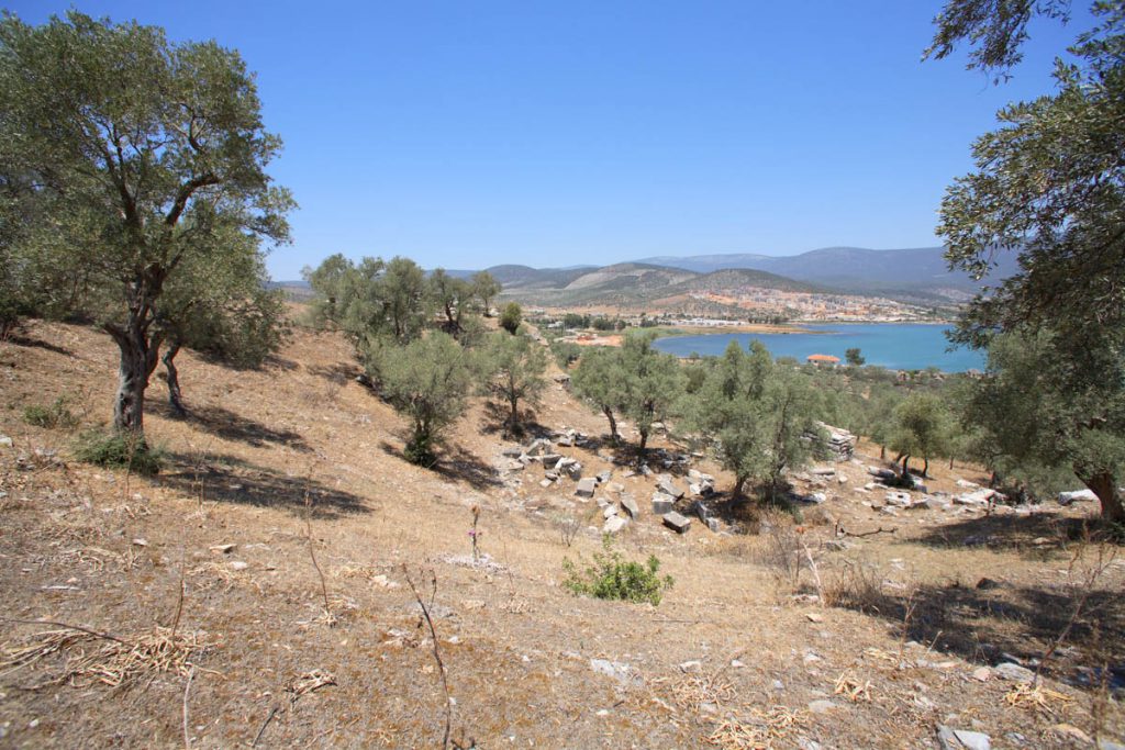Turkey, Mugla, Iasos – Greek theatre High-Quality Images & Videos The MCA Collection
