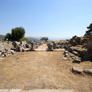 Turkey, Mugla, Labraunda – Propylon south Turkey, Mugla, Labraunda – Propylon south High-Quality Images & Videos The MCA Collection