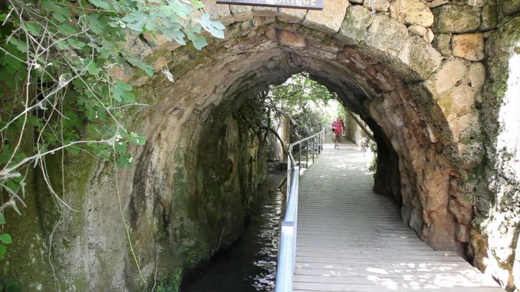 Israel, Banias(Paneas)- Roman Bridge (00:00:16) High-Quality Images & Videos The MCA Collection