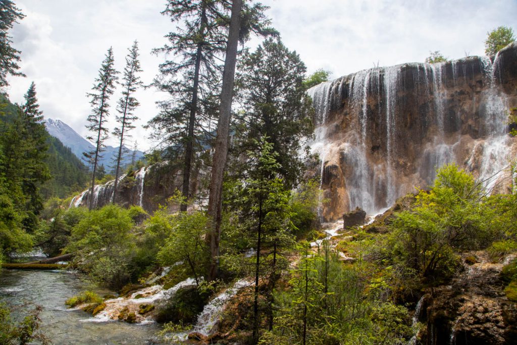 China, Sichuan - Jiuzhaigou National Park | Nature & Wildlife Images & Videos | The MCA Collection