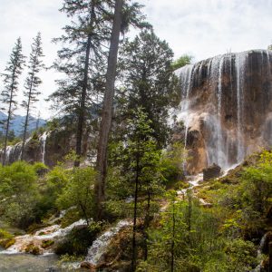 China, Sichuan - Jiuzhaigou National Park | Nature & Wildlife Images & Videos | The MCA Collection