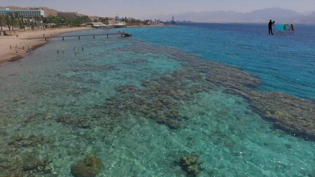 Israel, Eilat, Coral Reef (00:03:00) High-Quality Images & Videos The MCA Collection