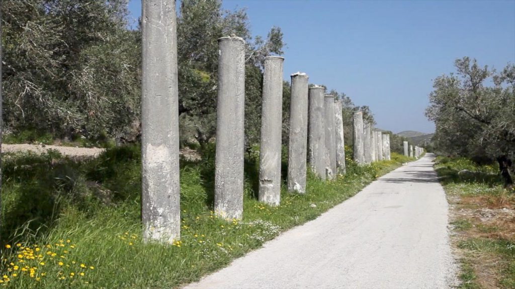 Iarael, Samaria, Cardo Maximus High-Quality Images & Videos The MCA Collection