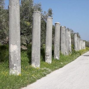 Iarael, Samaria, Cardo Maximus High-Quality Images & Videos The MCA Collection