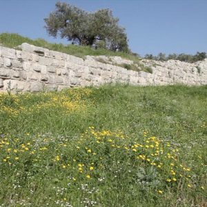 Iarael, Samaria, Roman walls High-Quality Images & Videos The MCA Collection