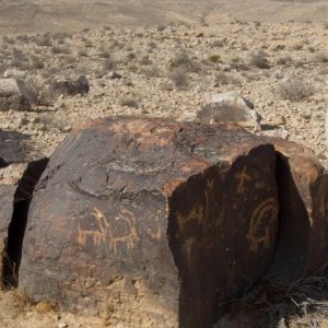 Israel, Negev ancient desert rock art (00:01:55) High-Quality Images & Videos The MCA Collection
