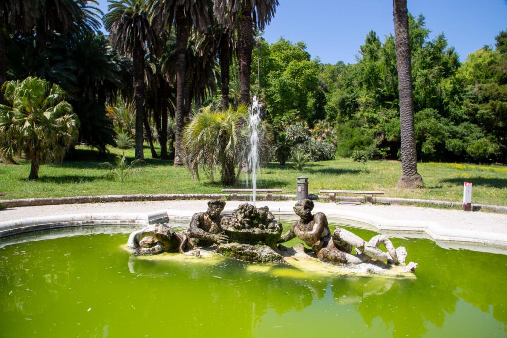 Italy, Rome – Botanical Gardens (00:02:08) Italy, Rome – Botanical Gardens (00:02:08) High-Quality Images & Videos The MCA Collection