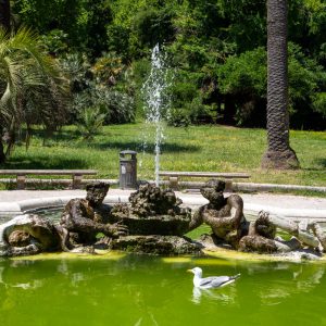 Italy, Rome, Botanical gardens – fountain of Tritons 1742  Giuseppe Poddi (00:00:45) High-Quality Images & Videos The MCA Collection
