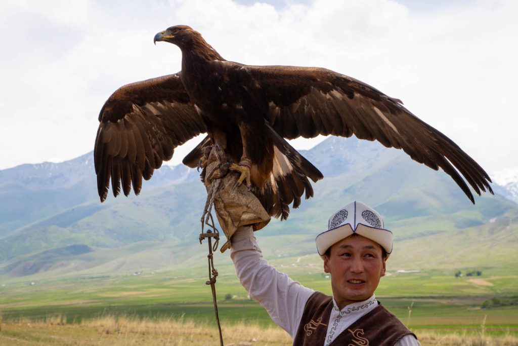 Kyrgyzstan, traditional hunting with Golden Eagle (00:02:48) Kyrgyzstan, traditional hunting with Golden Eagle | Nature & Wildlife Images & Videos | The MCA Collection