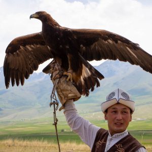 Kyrgyzstan, traditional hunting with Golden Eagle | Nature & Wildlife Images & Videos | The MCA Collection
