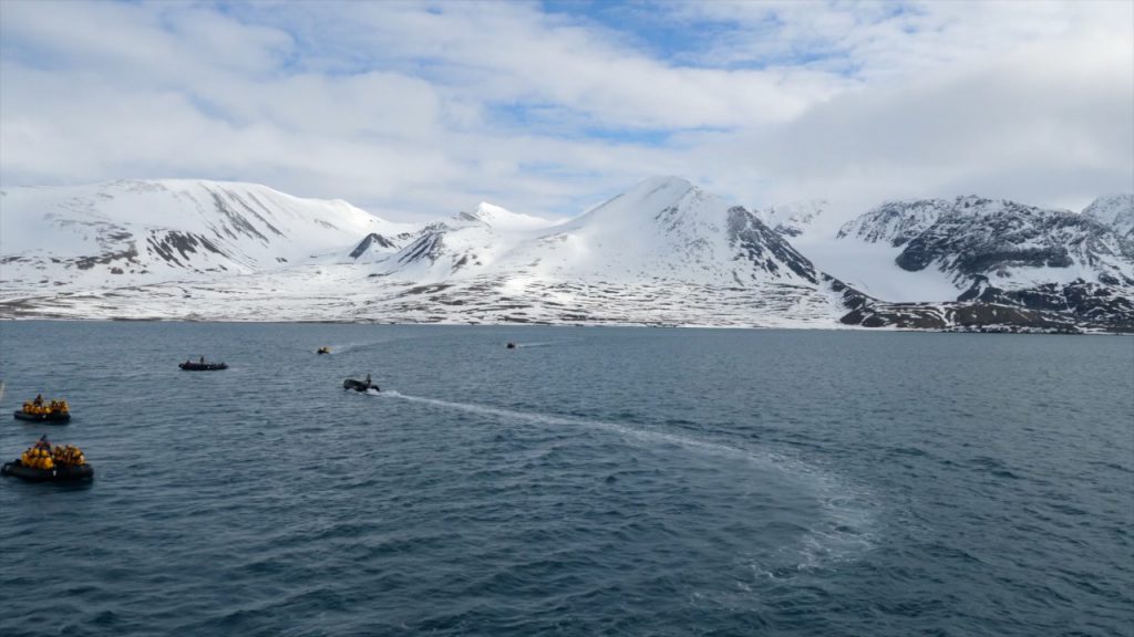 Norway, Spitsbergen | Nature & Wildlife Images & Videos | The MCA Collection
