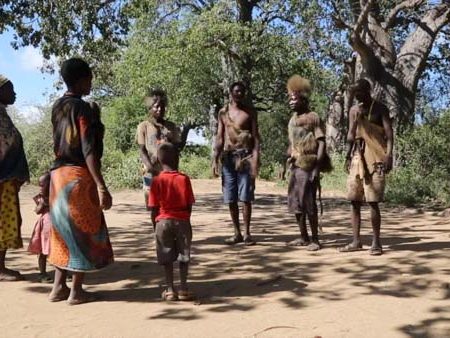 Tanzania, Lake Manyara National Park | Footage & Stills | The MCA Collection