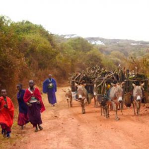 Tanzania, Traditional -farmers High-Quality Images & Videos The MCA Collection