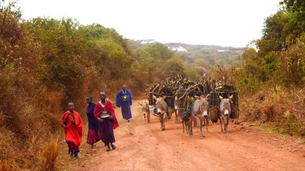 Tanzania, Traditional -farmers High-Quality Images & Videos The MCA Collection