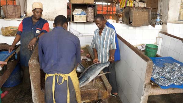 Tanzania, Traditional -Fish Market High-Quality Images & Videos The MCA Collection