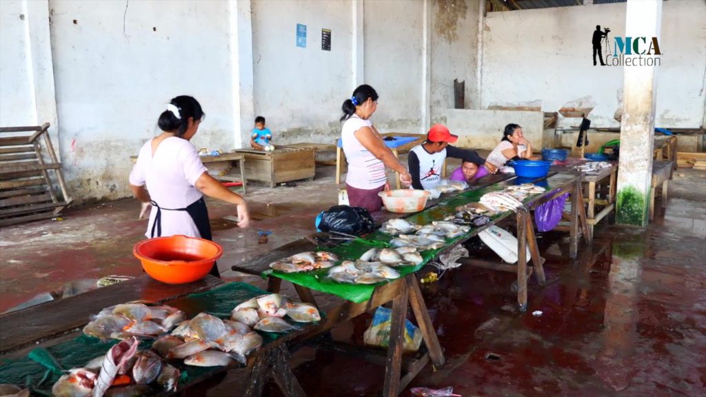 Peru, Traditional – Amazonas – fish market High-Quality Images & Videos The MCA Collection