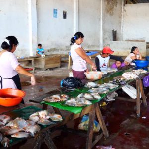 Peru, Traditional – Amazonas – fish market High-Quality Images & Videos The MCA Collection