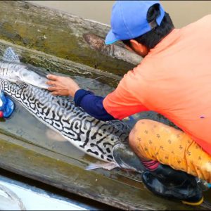 Peru, Traditional – Amazonas – fishing High-Quality Images & Videos The MCA Collection