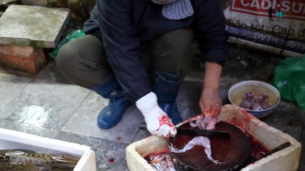 Vietnam, traditional work – Preparation of frog meat High-Quality Images & Videos The MCA Collection