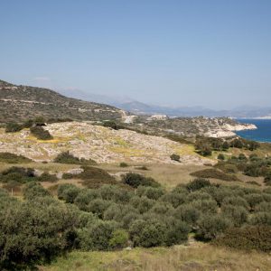 Greece, Crete, Gournia Minoan site (00:03:02) High-Quality Images & Videos The MCA Collection
