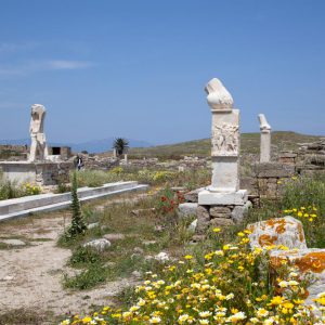 Greece, Delos Island, Exedra of Dionysus Greece, Delos Island, Exedra of Dionysus High-Quality Images & Videos The MCA Collection
