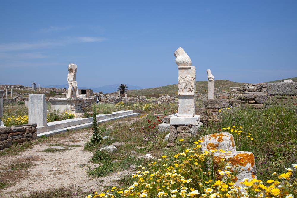 Greece, Delos Island, Exedra of Dionysus High-Quality Images & Videos The MCA Collection