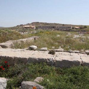 Greece, Delos Island, Poros temple(ancient temple of Apollo) High-Quality Images & Videos The MCA Collection