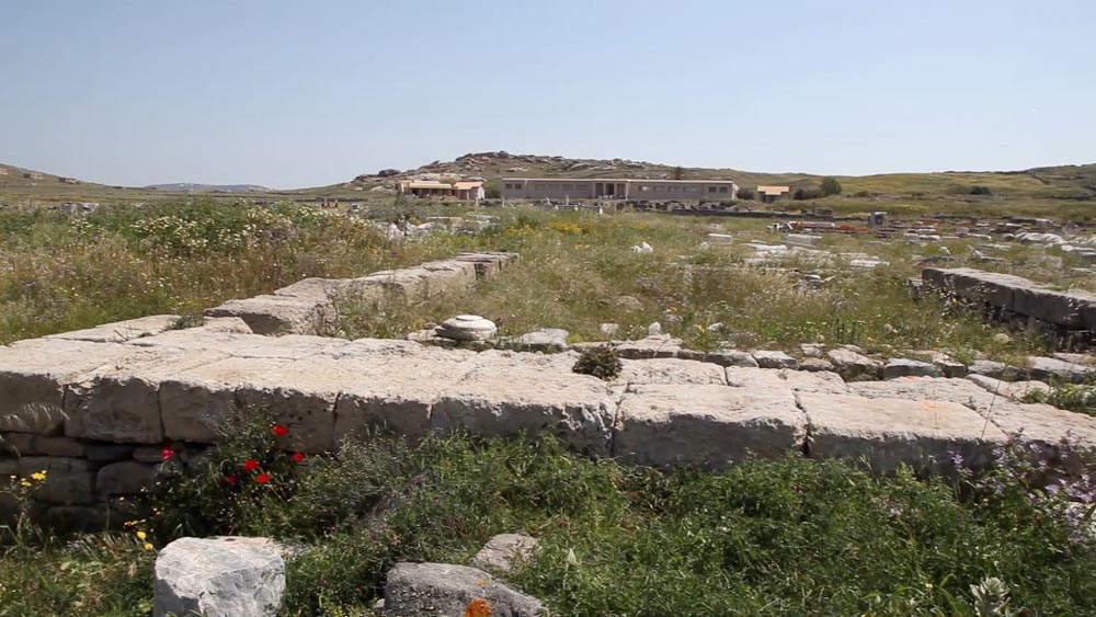 Greece, Delos Island, Poros temple(ancient temple of Apollo) High-Quality Images & Videos The MCA Collection