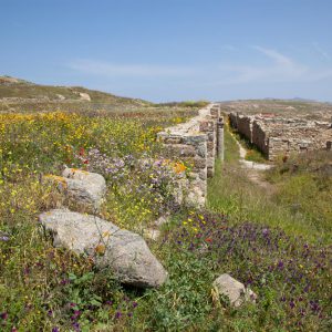 Greece, Delos Island, Stadium quarter High-Quality Images & Videos The MCA Collection