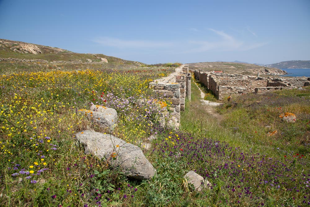 Greece, Delos Island, Stadium quarter High-Quality Images & Videos The MCA Collection