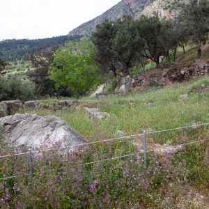 Greece, Delphi, Greek House of the priests High-Quality Images & Videos The MCA Collection