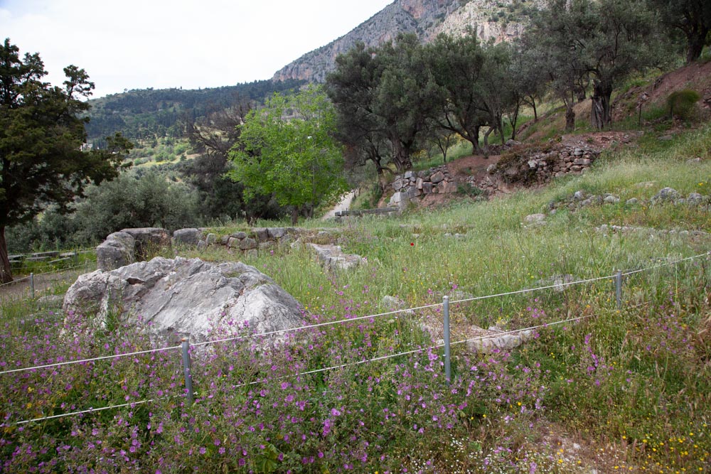 Greece, Delphi, Greek House of the priests High-Quality Images & Videos The MCA Collection