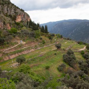 Greece, Delphi, Gymnasium High-Quality Images & Videos The MCA Collection