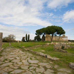 Italy, Paestum – Via Sacra High-Quality Images & Videos The MCA Collection