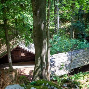 Slovenia, Base 20 (Baza 20), Partisan camp from WW2 (00:03:35) High-Quality Images & Videos The MCA Collection