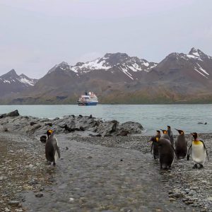 South Georgia Island