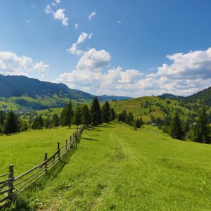 Romania, Traditional Romanian Houses (00:04:07) Romania, Traditional Romanian Houses (00:04:07) High-Quality Images & Videos The MCA Collection