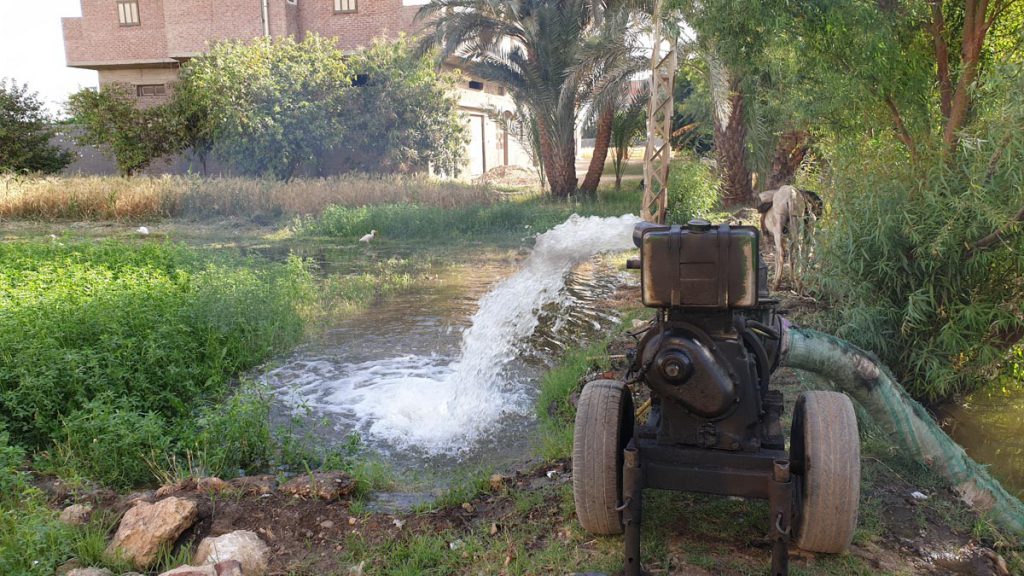 Egypt, Luxor- Traditional – Irrigation, flooding of fields High-Quality Images & Videos The MCA Collection